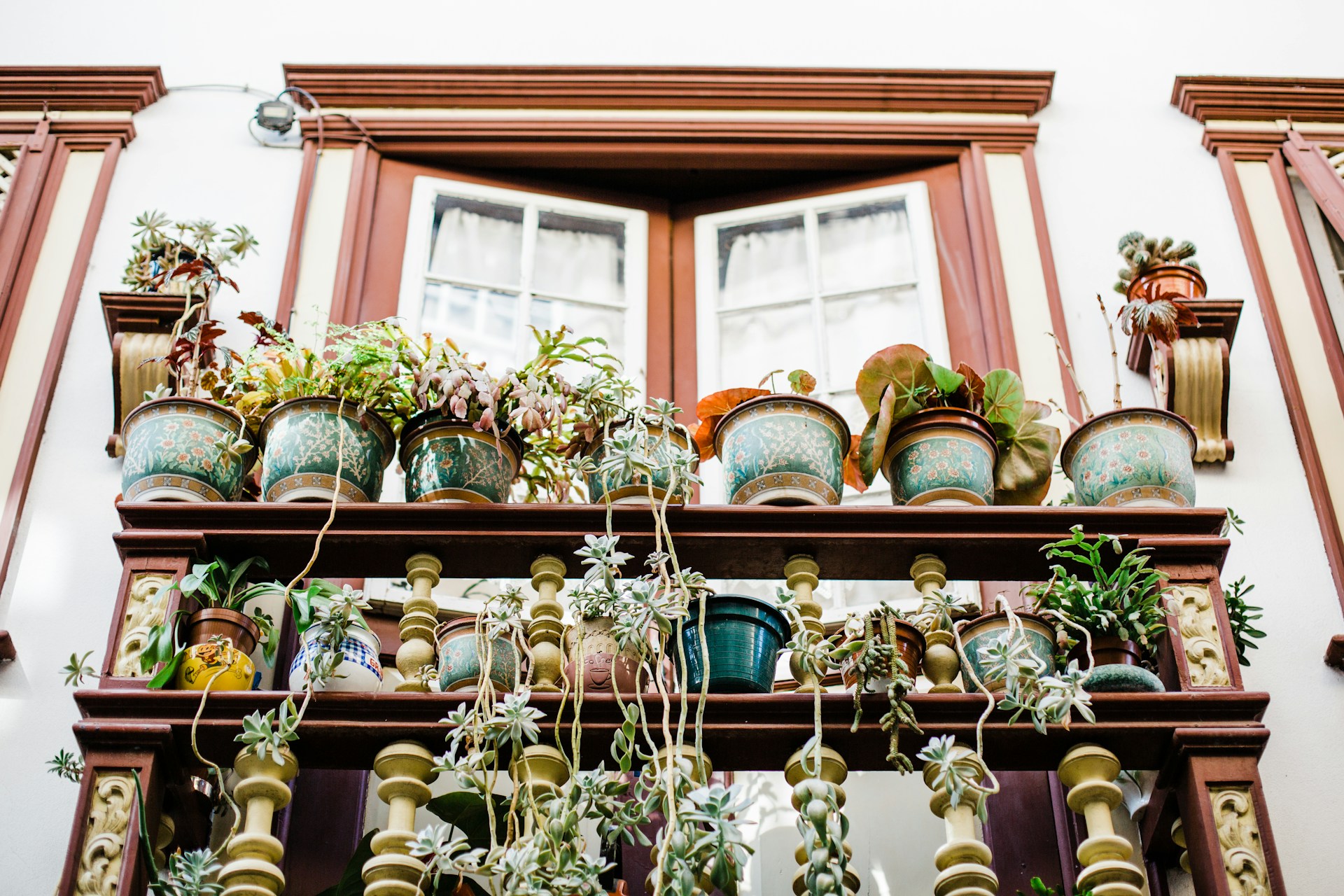 Pots de Fleurs Vintage