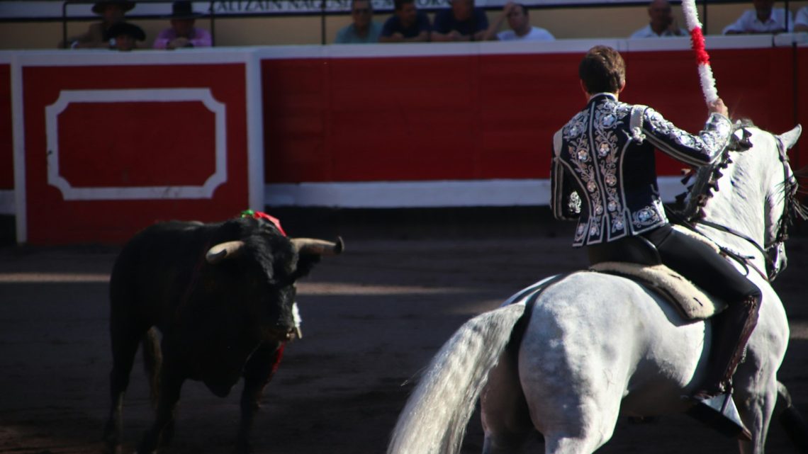 Pourquoi la tauromachie est-elle considérée comme un art et une tradition en Espagne ?