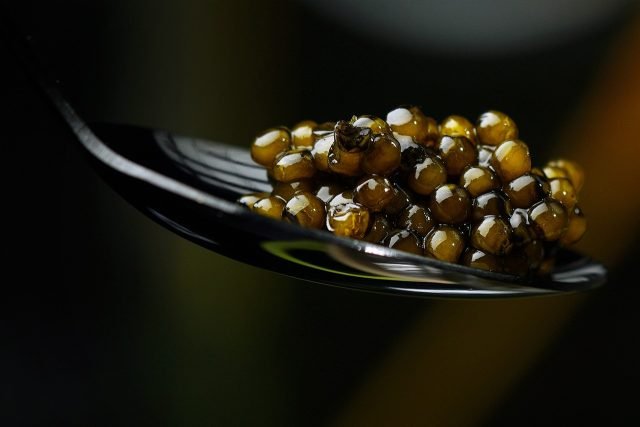 tarama au caviar