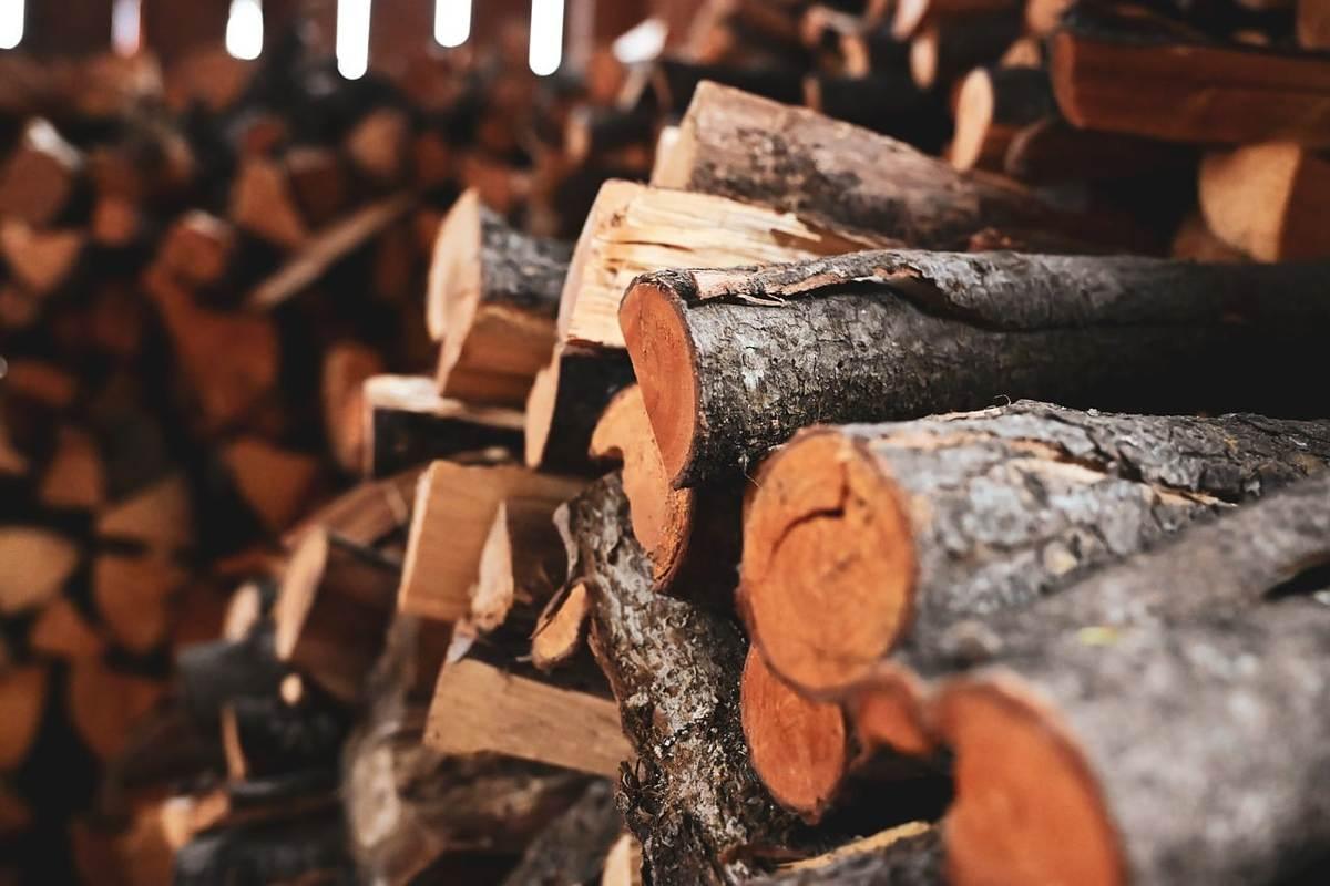 Réchaud à bois pliable : l'investissement malin du campeur itinérant Réchaud à bois pliable : l'investissement malin du campeur itinérant